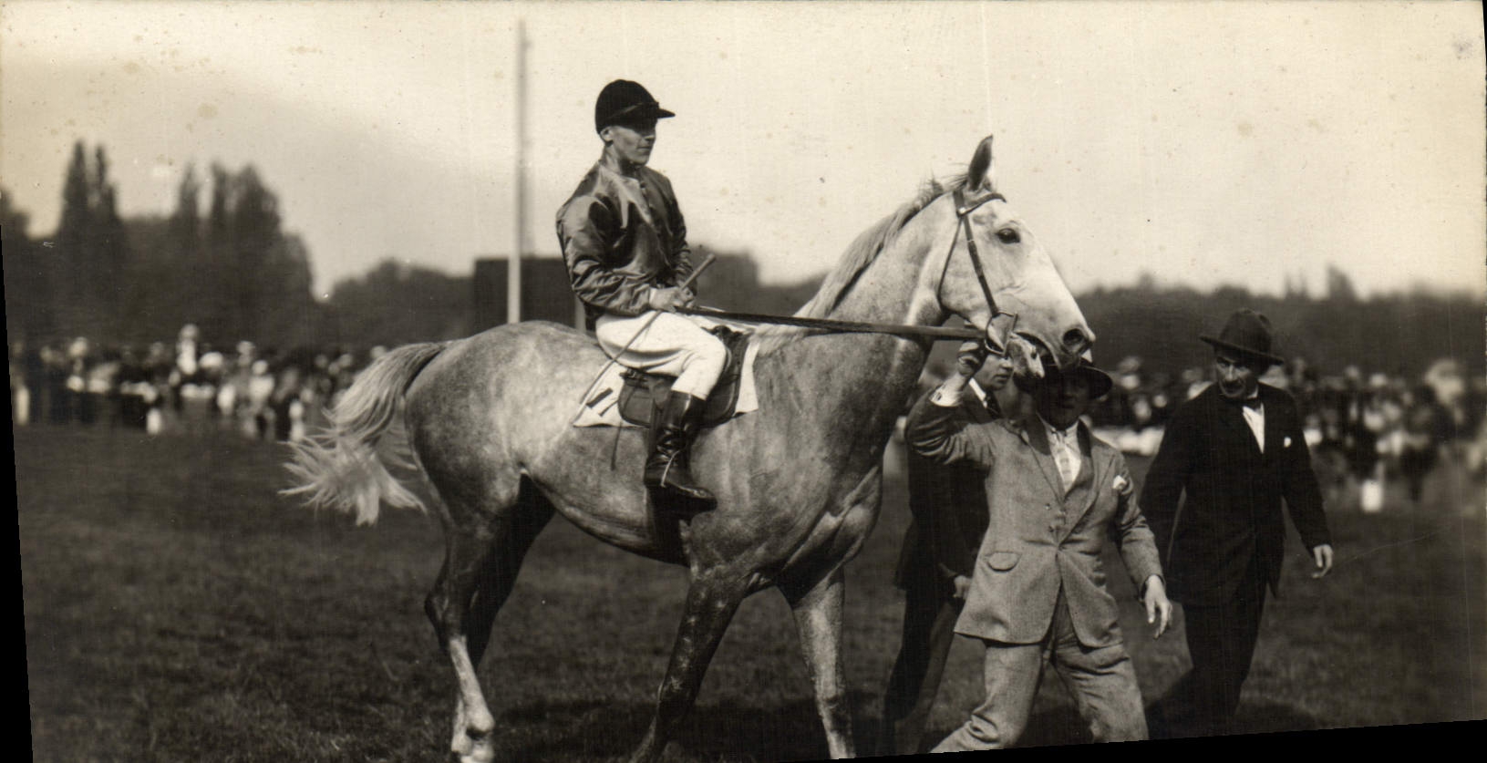 Course hippique — Jockey sur cheval gris — éditeur CPAPHIL