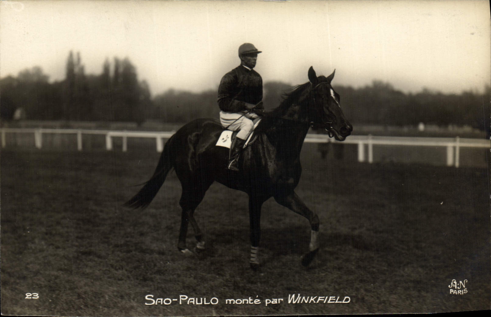 Sao-Paulo monté par Winkfield — course hippique — éditeur J.A.N. Paris, n°23