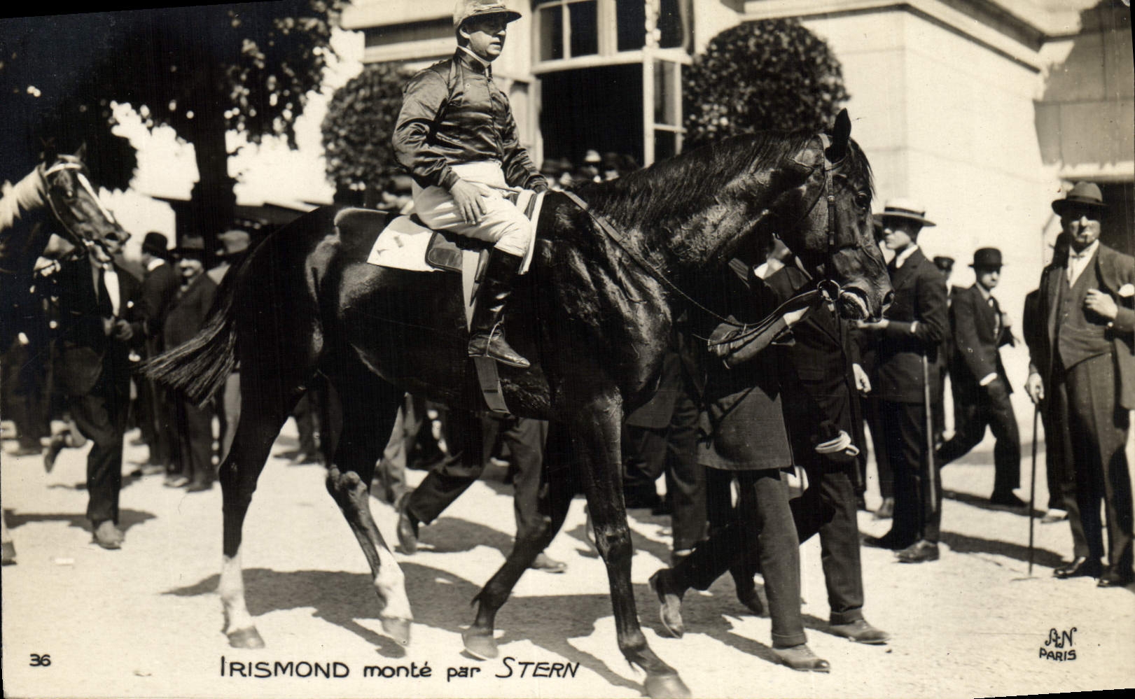 CPA Cheval Equitation Hippisme Irismond monte par Stern 
