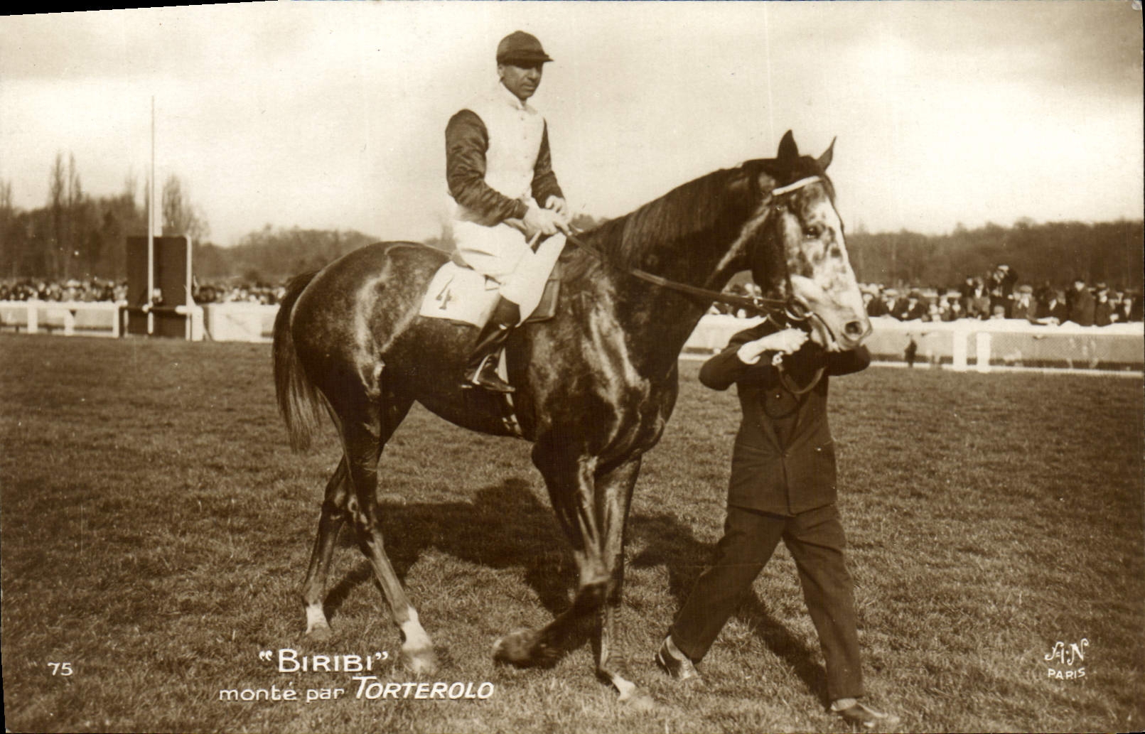 Cheval "Biribi" monté par Torterolo — Paris — J.A.N. Paris