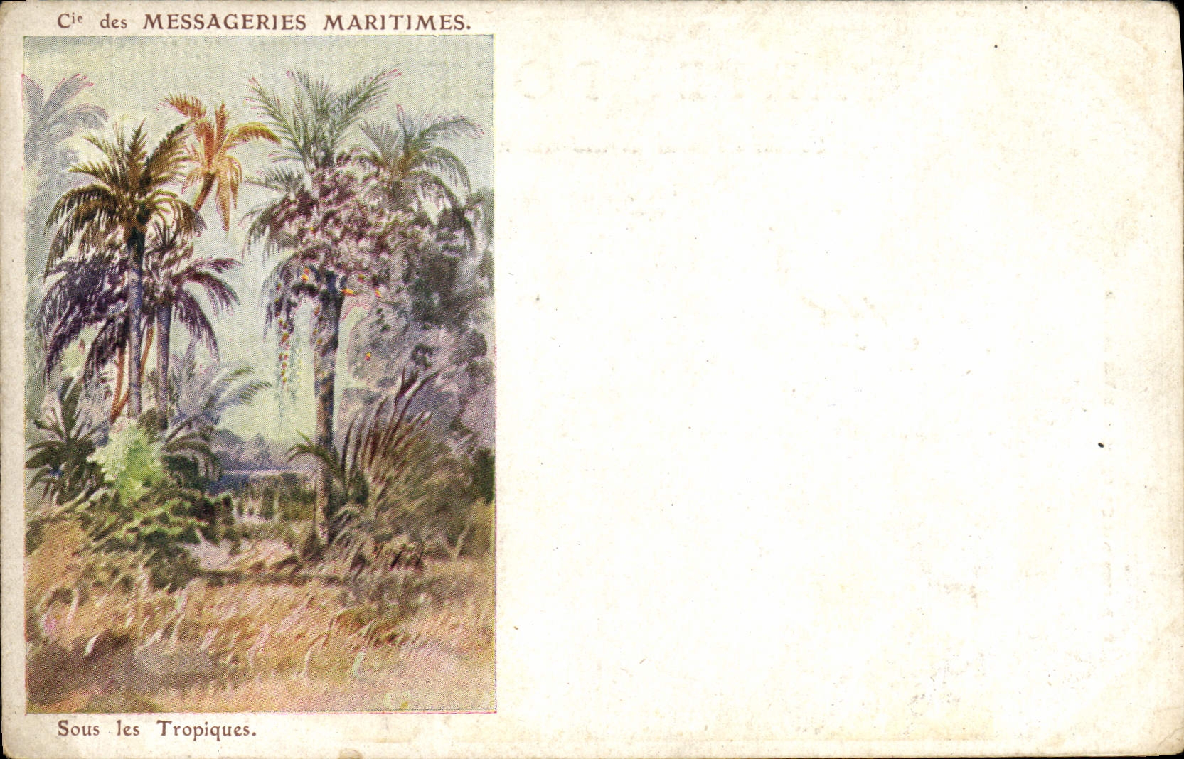 Sous les Tropiques — Cie des Messageries Maritimes