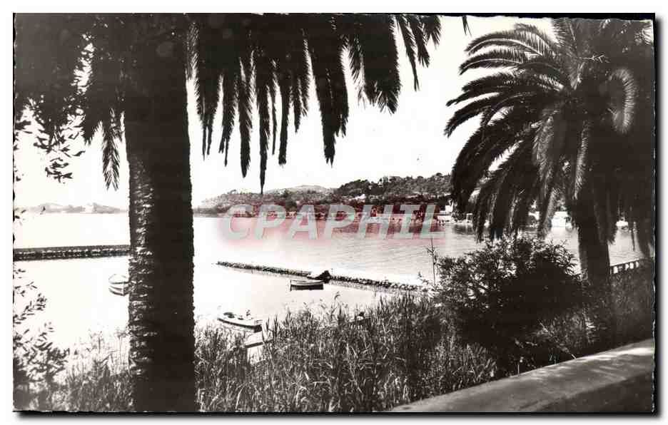 CPM Beaulieu Sur Mer Vue Sur la Mer et le Cap Ferrat