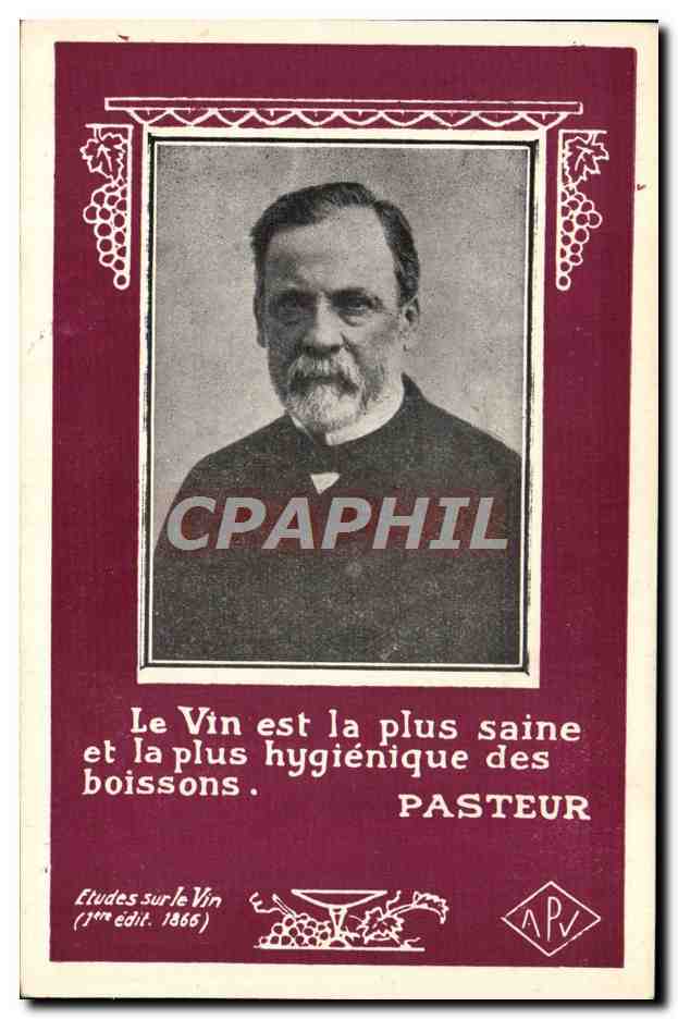 Pasteur — Le Vin est la plus saine et la plus hygiénique des boissons — APV, 1ère édit. 1866