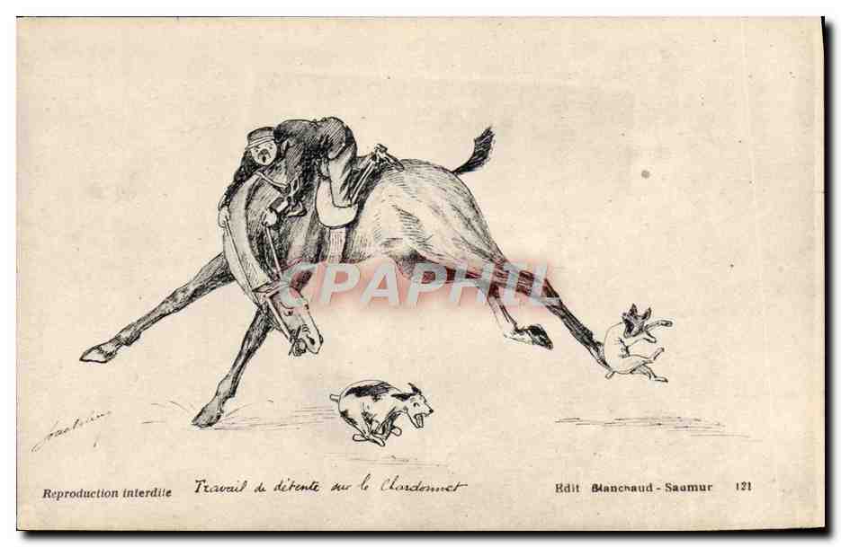 CPA Cheval Equitation Hippisme Travail de detente sur le Chardonnet Chein 