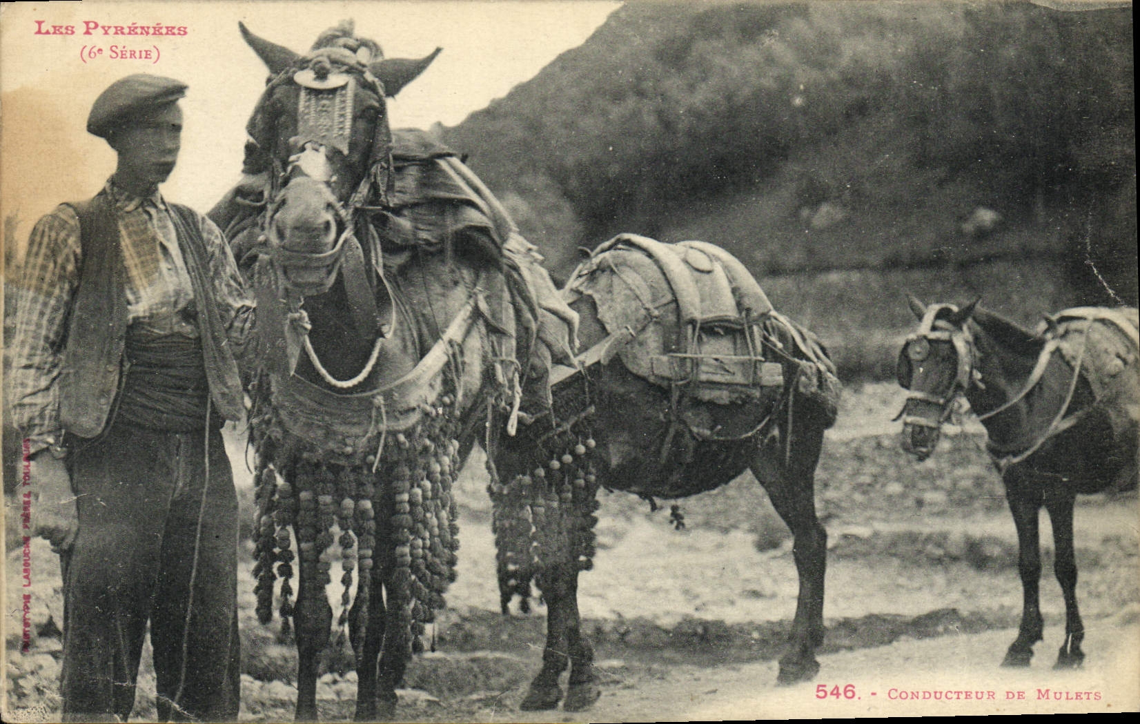 Les Pyrénées (6e Série) — Conducteur de Mulets — Éditeur : L. Labrousse, Toulouse, n° 546