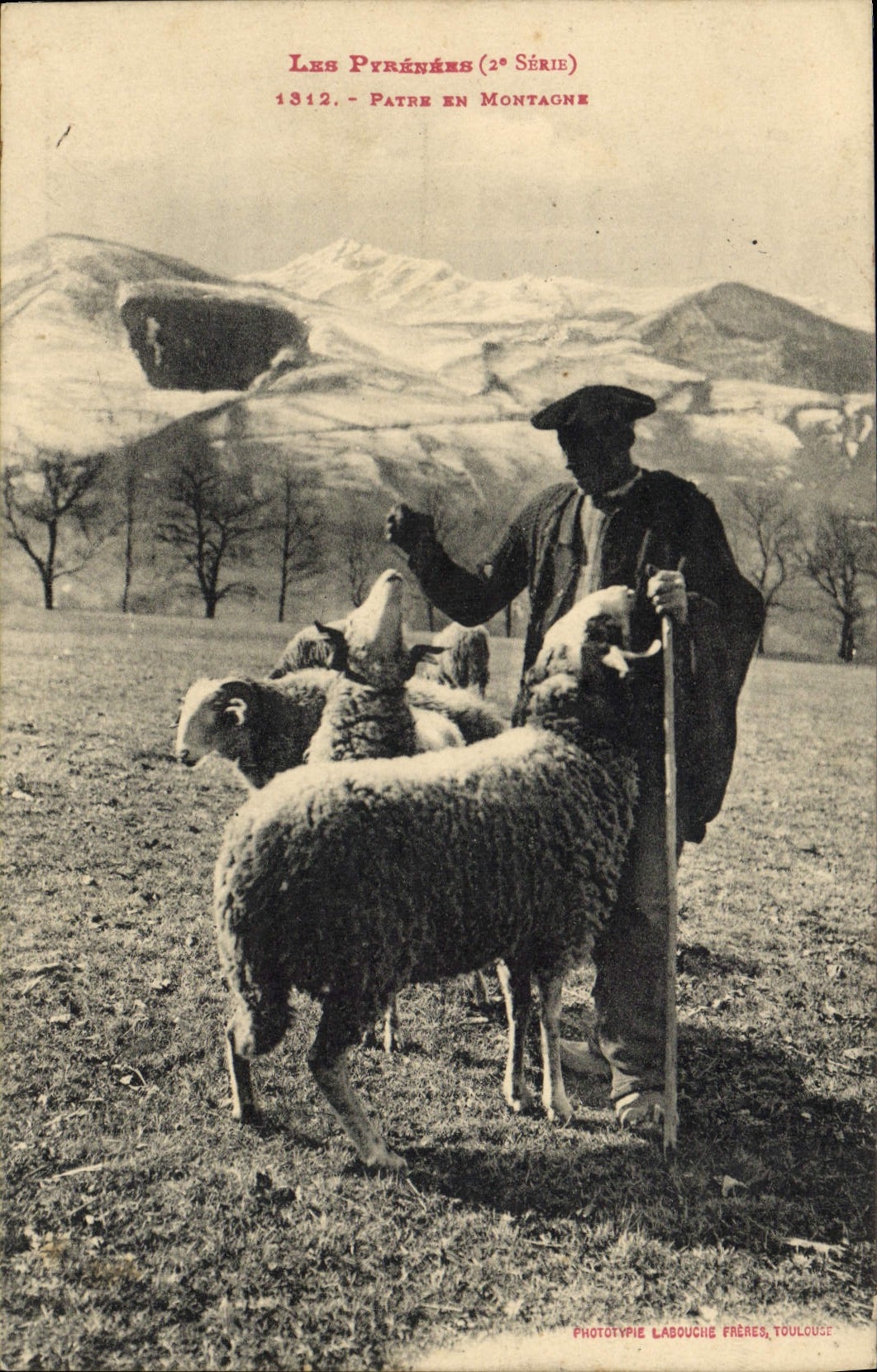 CPA Folklore Pyrenees Patre en montagne Moutons 