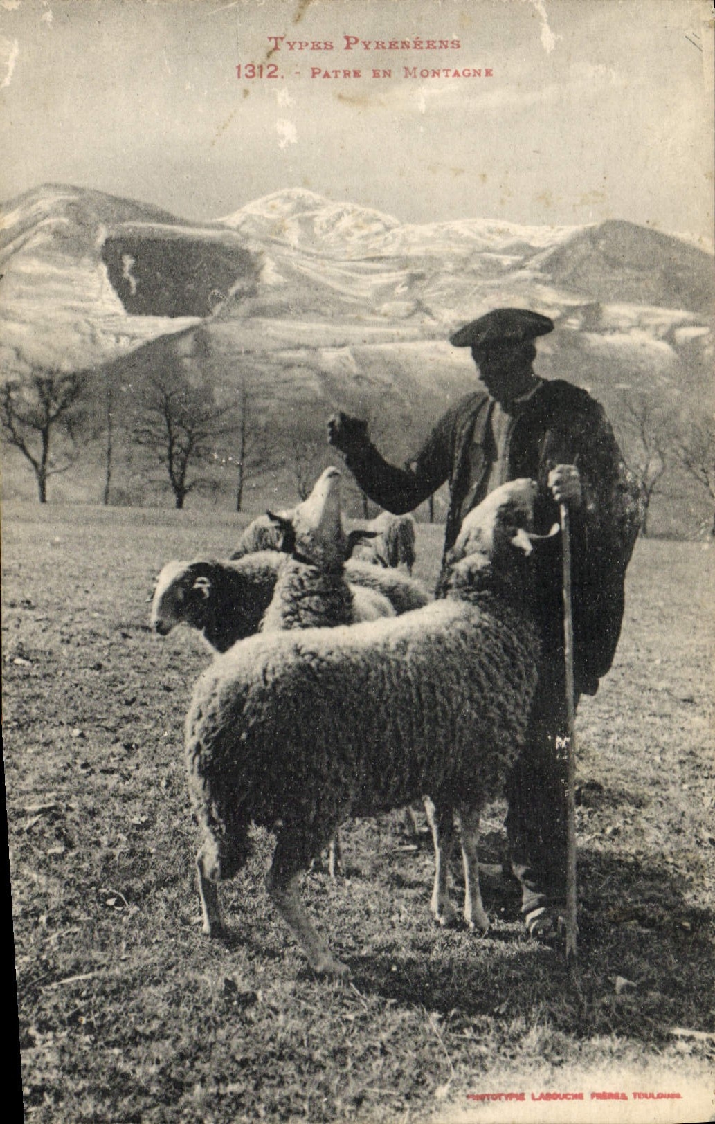 CPA Folklore Pyrenees Patre de montagne Moutons