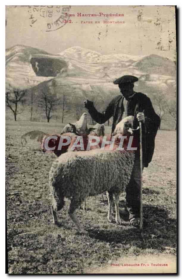 CPA Folklore Pyrenees Patre en montagne 