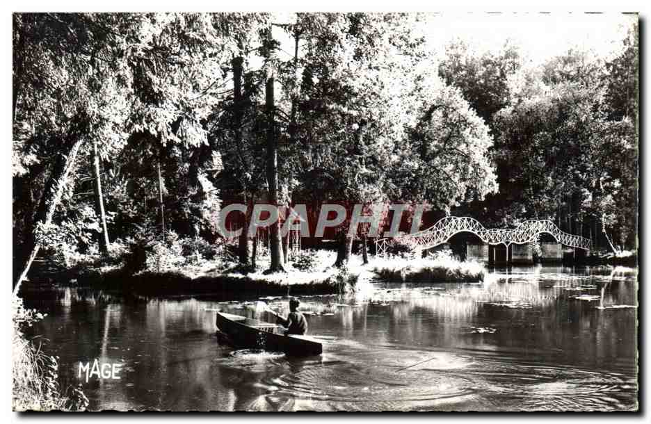 CPM Saint Dizier Promenade Sur les Etangs de la Marine