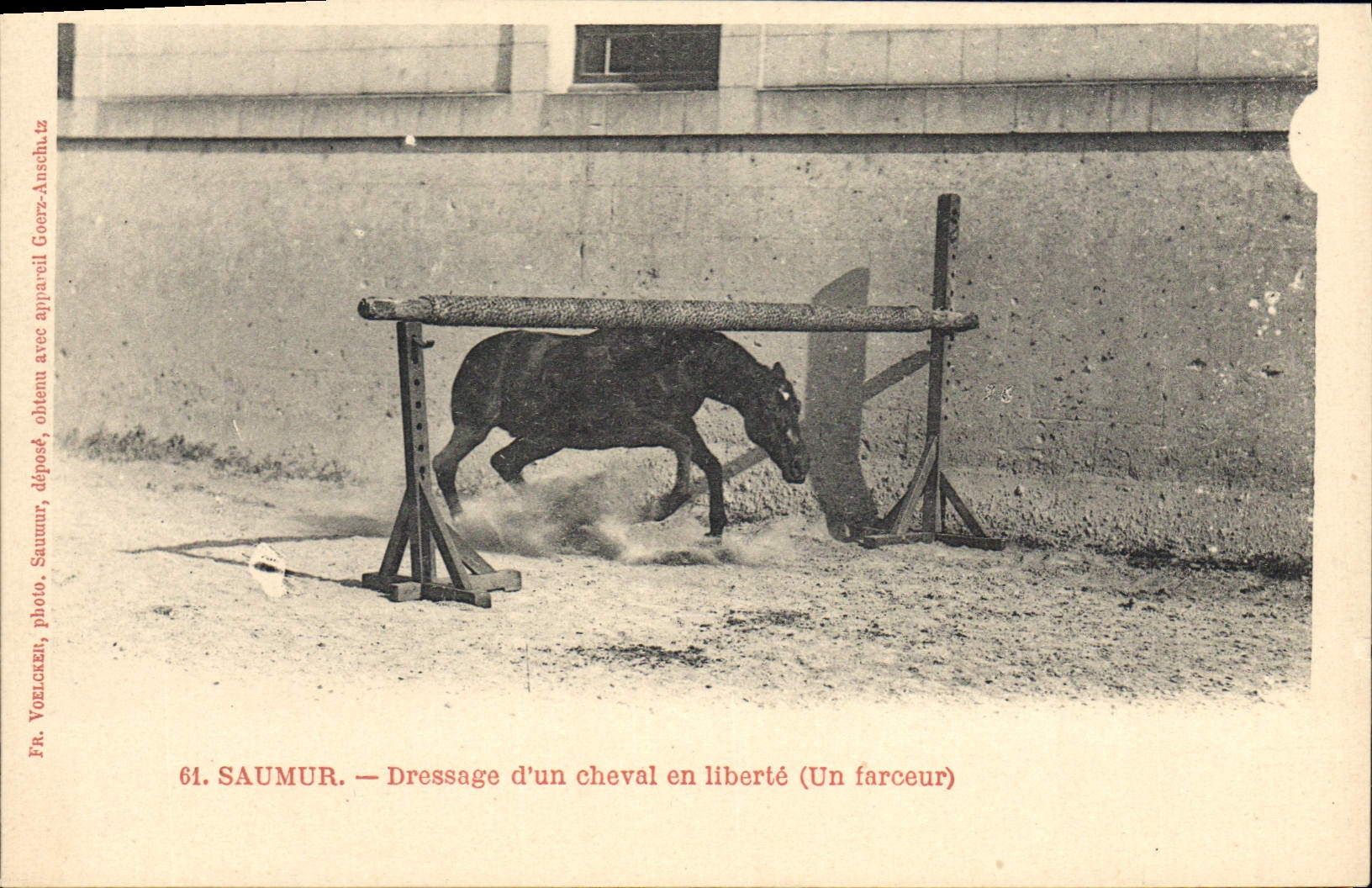 Saumur — Dressage d'un cheval en liberté (Un farceur) — Fr. Voclozzen, photo. Saumur, dépôt, avec appr. Geerz-Anscha