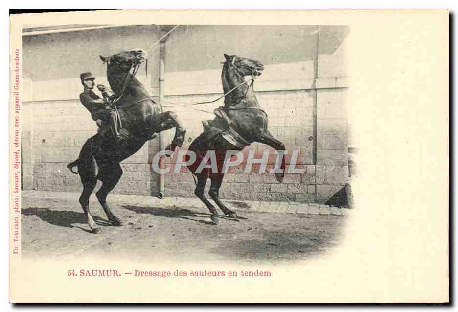 Saumur — Dressage des sauteurs en tandem — photo Vaucassan, dépôt Saumur