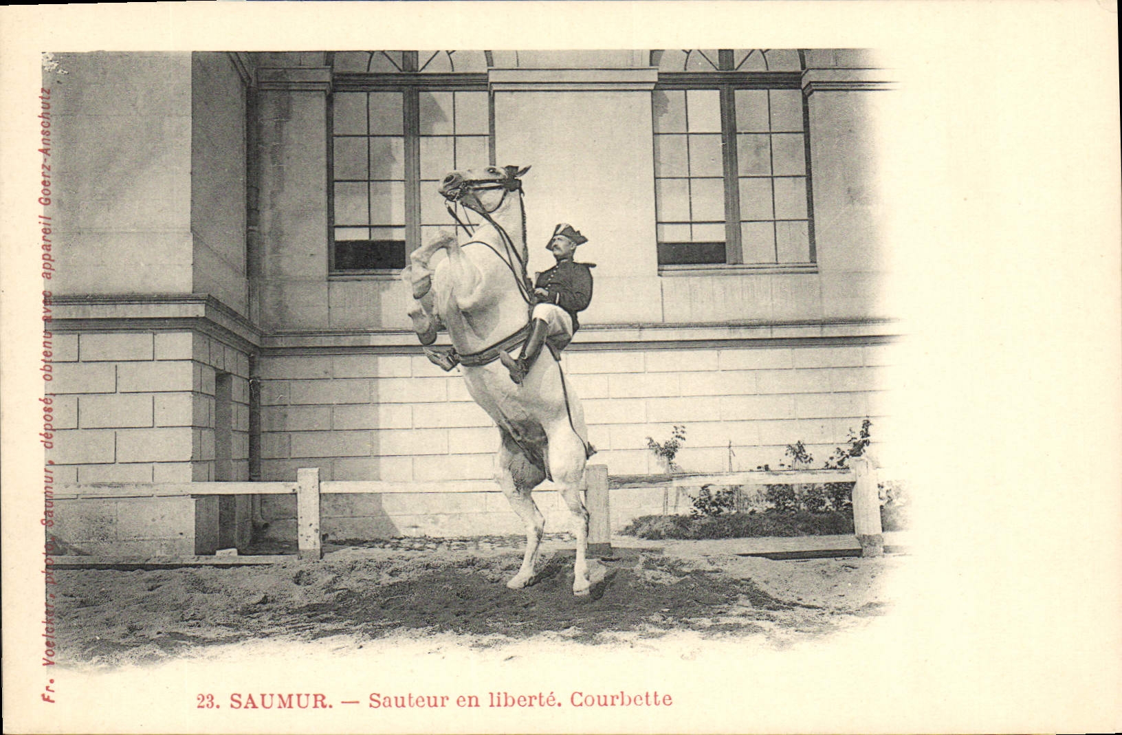 Saumur — Sauteur en liberté. Courbette — Fr. Yoelker, n°23