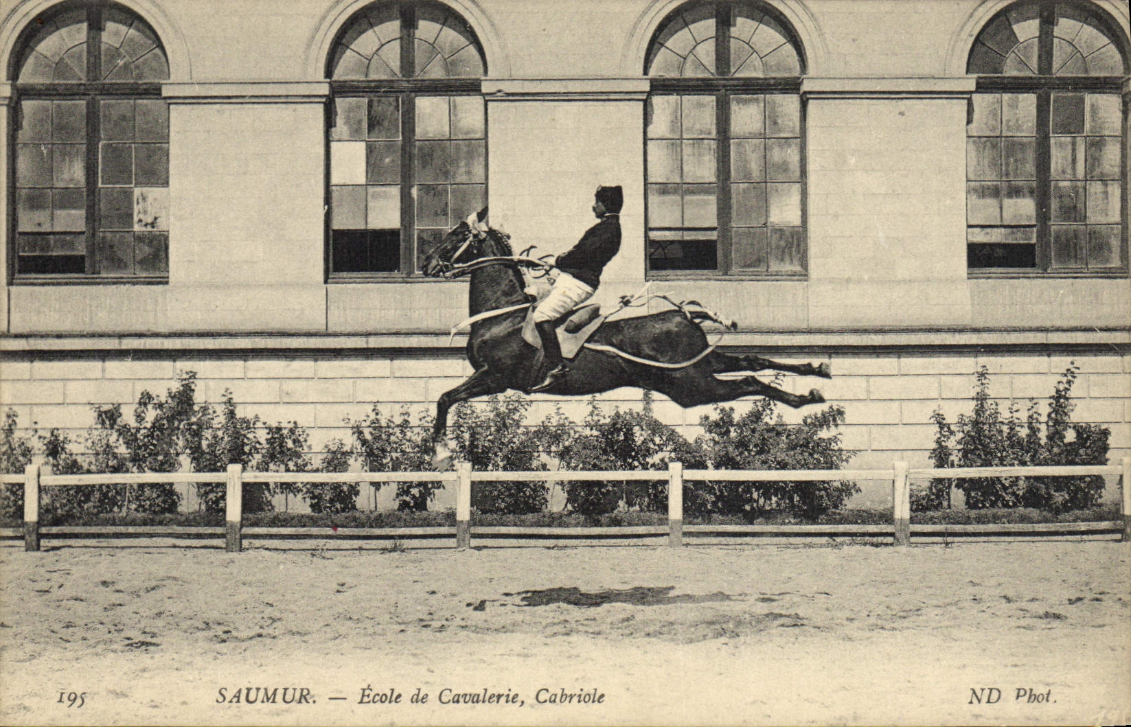 Saumur — École de Cavalerie, Cabriole — ND Phot.