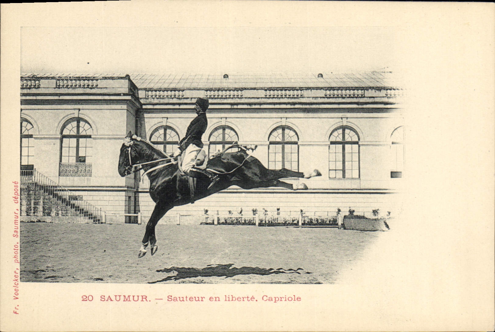 Saumur — Sautateur en liberté. Capriole — Fr. Voelcker, photo. Saumur, dépôté