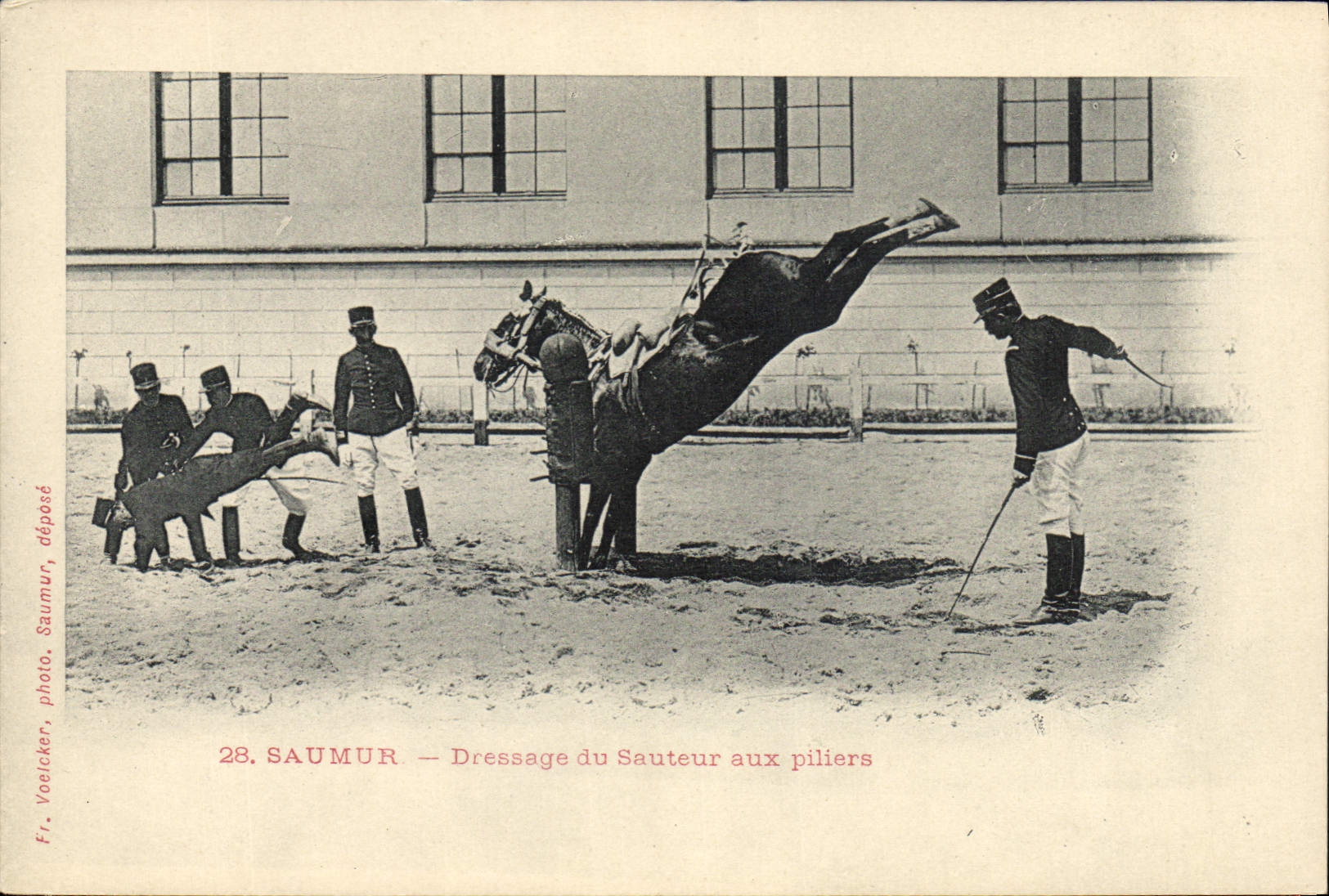Saumur — Dressage du Sauteurs aux pilliers — Fr. Voelicker, photo. Saumur, déposé. N° 28