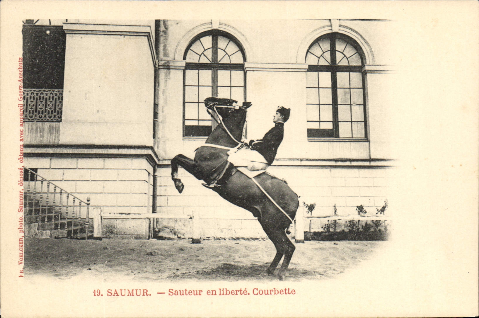 Saumur — Sautateur en liberté. Courbette — H. Yorlzeren, photo. Saumur, éditeur Goerz-Auschutz