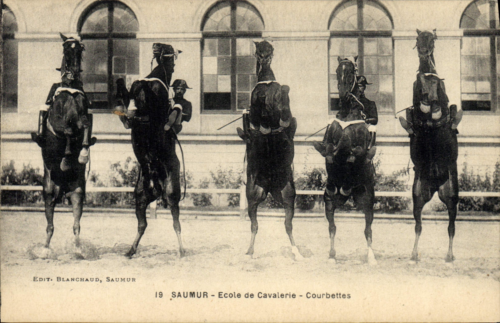 Saumur — École de Cavalerie — Courbettes — Édit. Blanchaud, Saumur