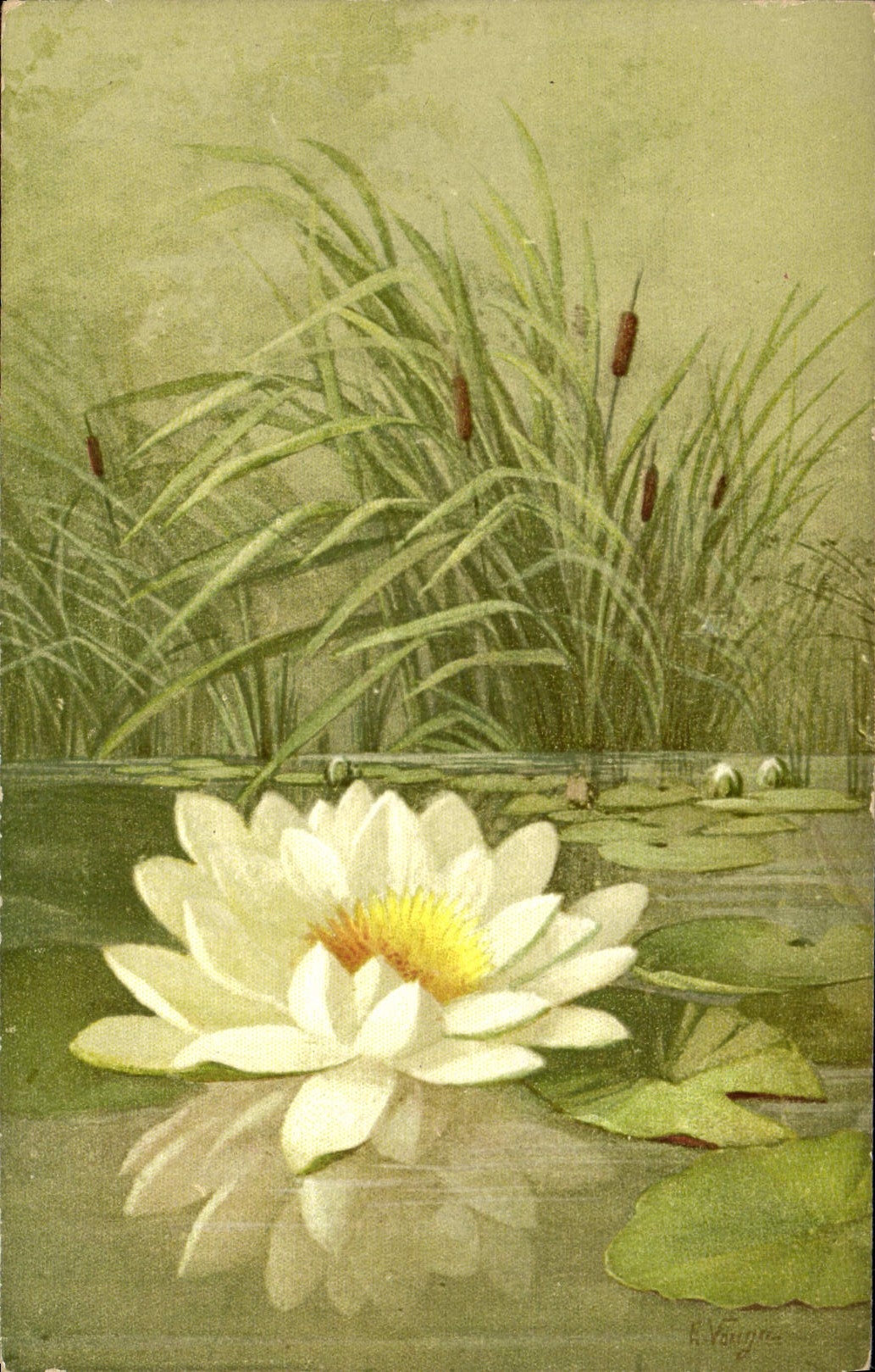 CPA Fantaisie Illustrateur Fleurs Nenuphar