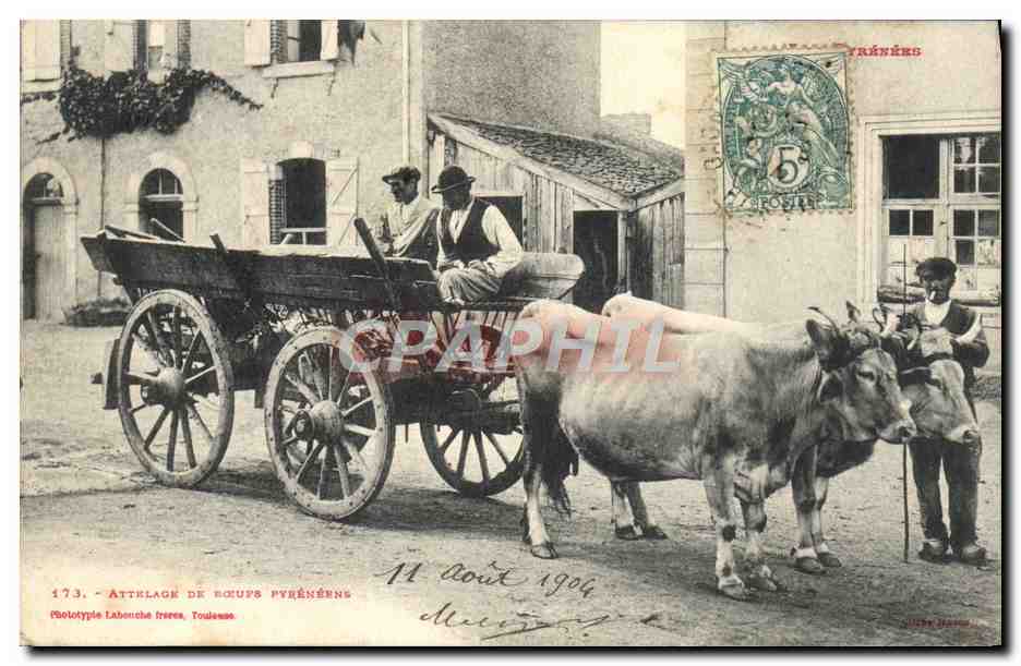 CPA Folklore Attelage de boeufs pyreneens TOP