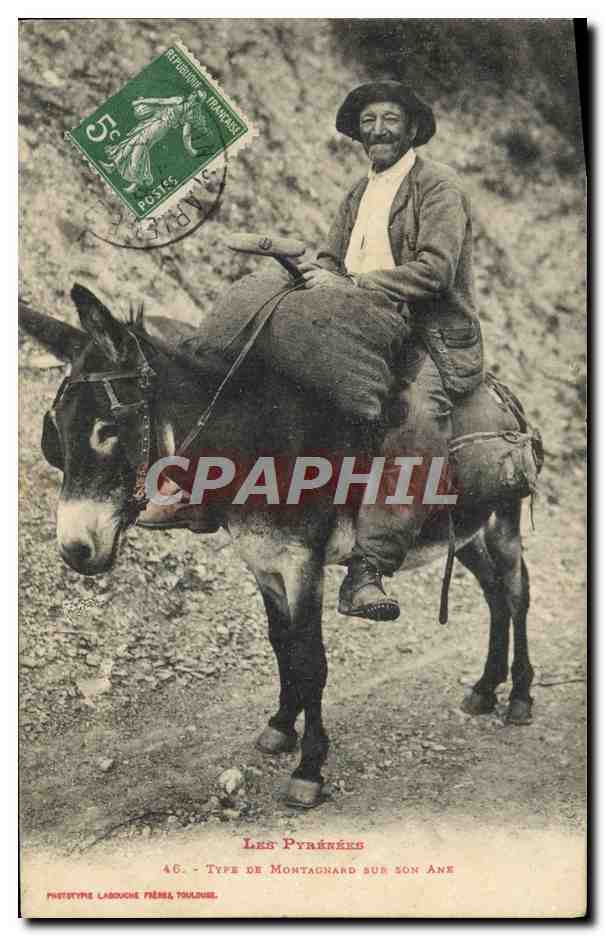 Los Pirineos - Tipo de Montañés en su burro - Fototipo Labouche Frères, Toulouse