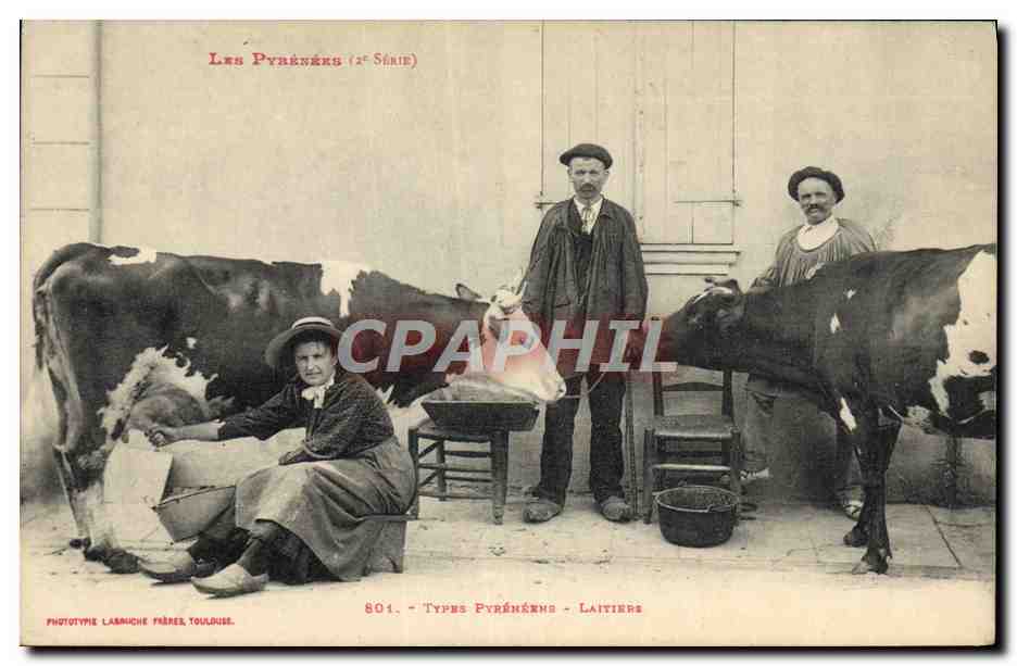 Los Pirineos (2a Serie) - Tipos Pirineos - Lecheros - Fototipia Lamuche Hermanos, Toulouse - Anverso