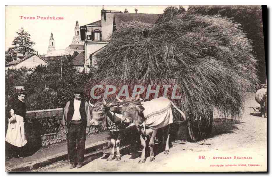 CPA Folklore Attelage bearnais Boeufs TOP Pyrenees