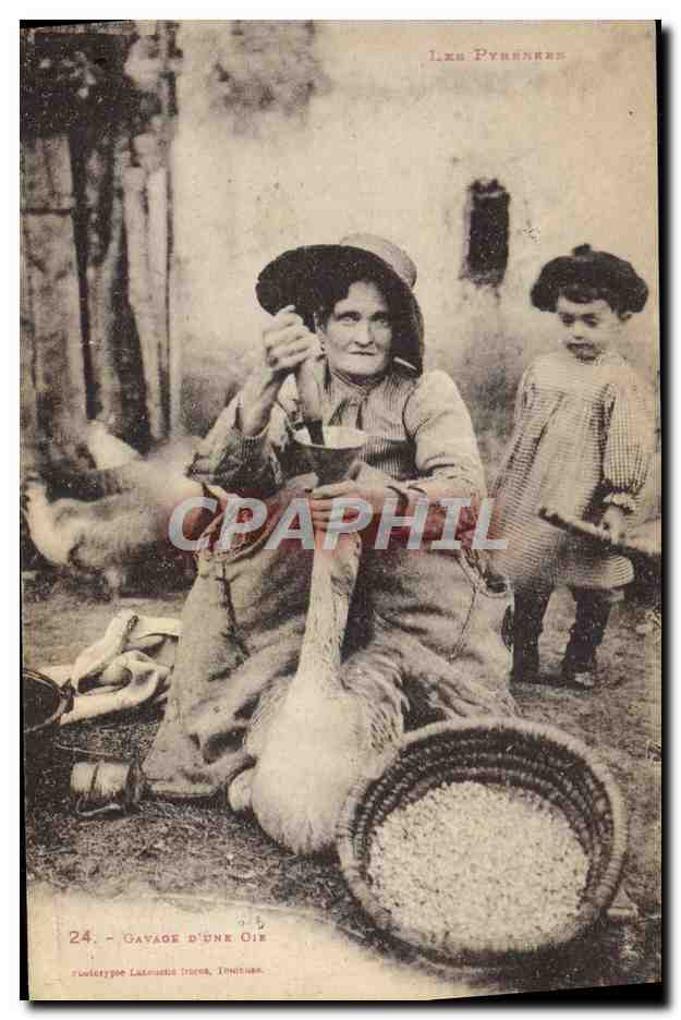 CPA Folklore Gavage d'une oie Pyrenees
