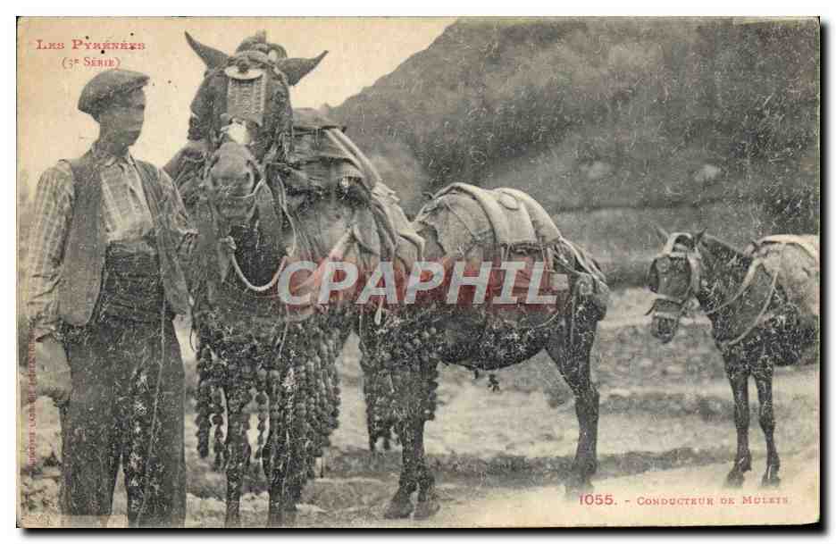 Les Pyrénées — Conducteur de mulets — (3e Série) n°1055