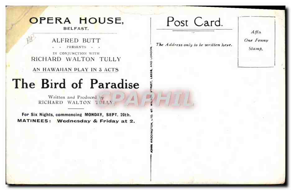 CPA Fantaisie Illustrateur Homme Opera House Belfast Alfred Butt The bird of paradis  — Rückseite