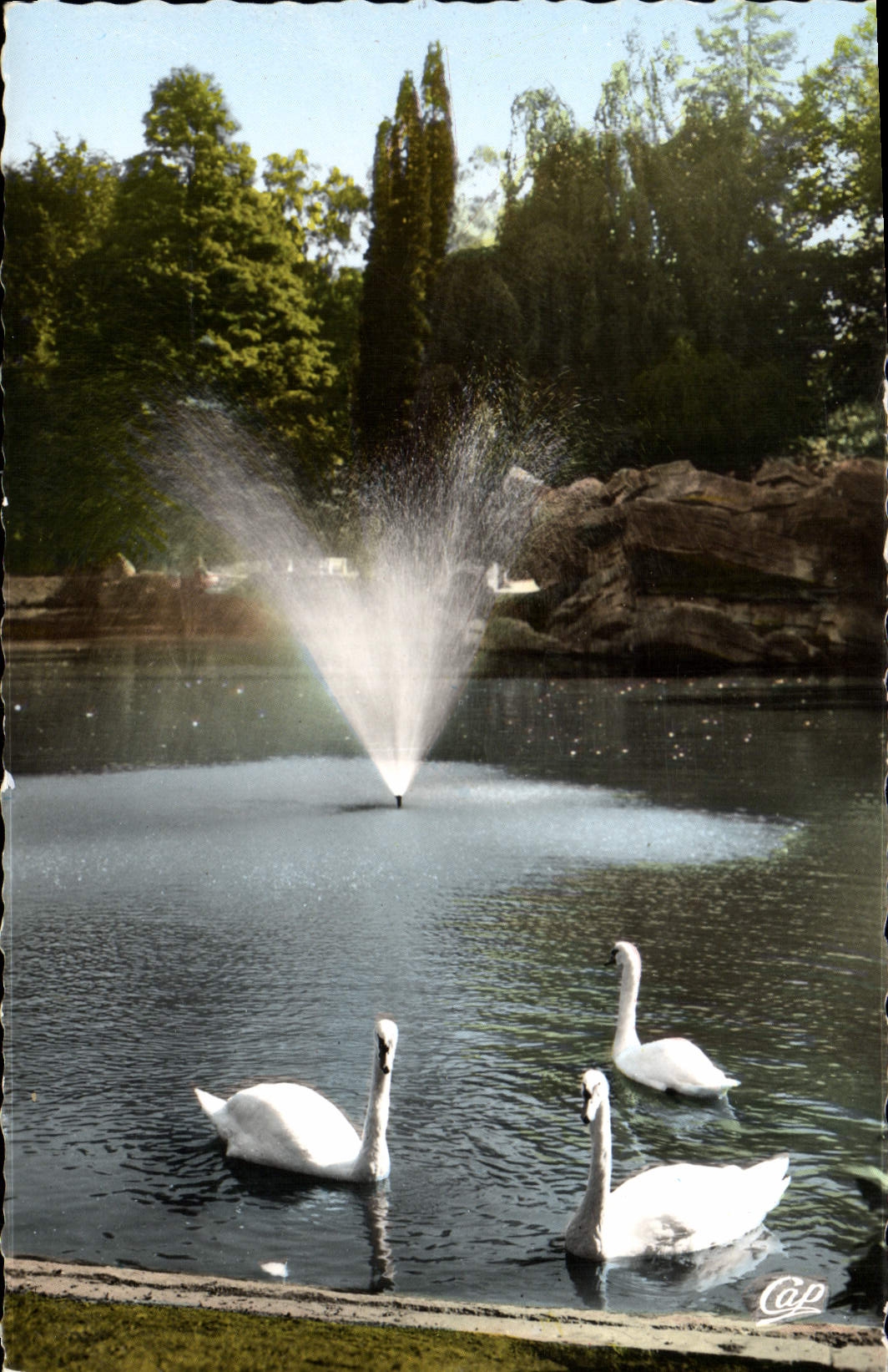 Valenciennes - Jardin de la Rhonelle, les Cygnes — Cap