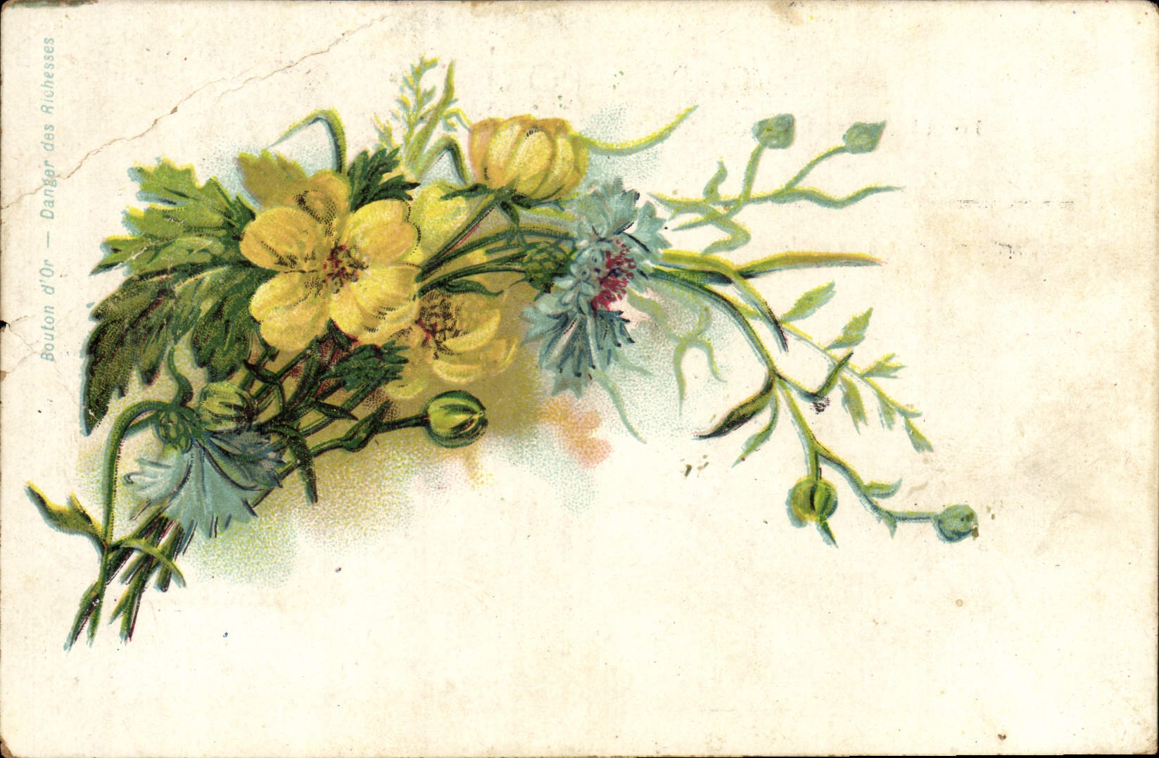CPA Fantaisie Fleurs Bouton d'or 