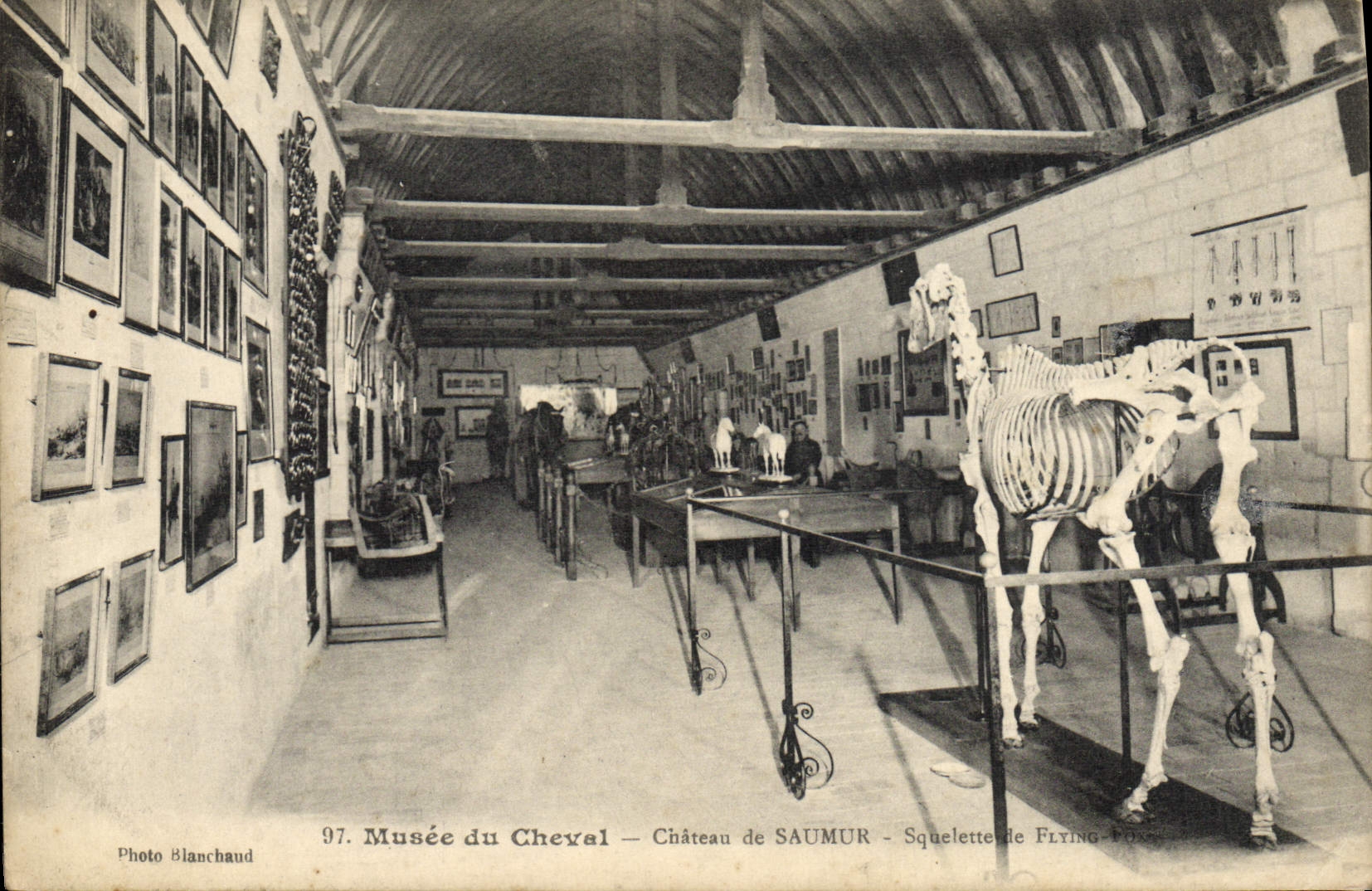 CPA Cheval Equitation Hippisme Musee du cheval Chateau de Saumur Squelette Flying Fon 