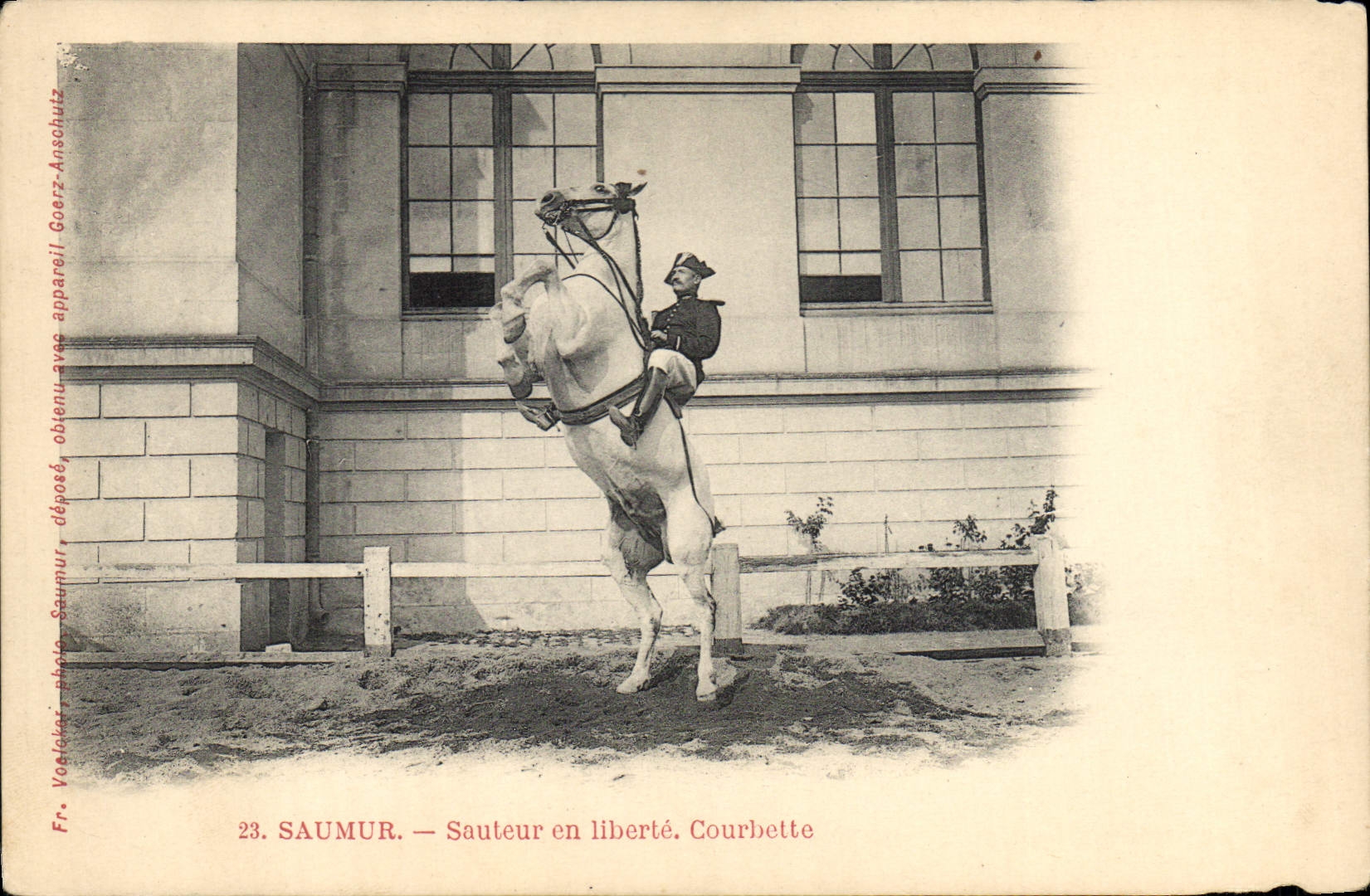 Saumur — Sauteurs en liberté. Courbette — Fr. Vaehlker, photo. Goerz-Anschutz