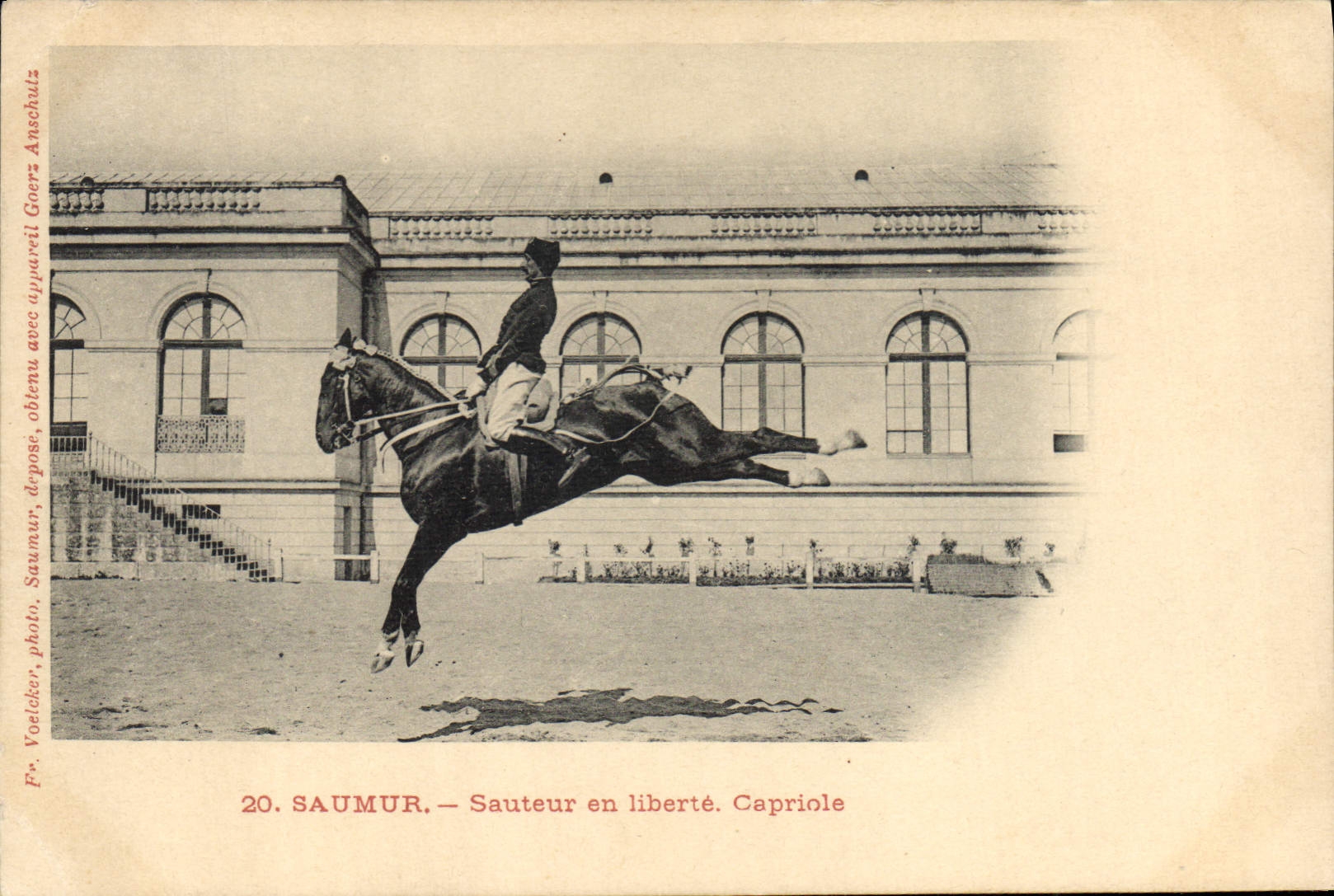 Saumur — Sauteurs en liberté. Capriole — Fr. Yoelcker, photo. N°20