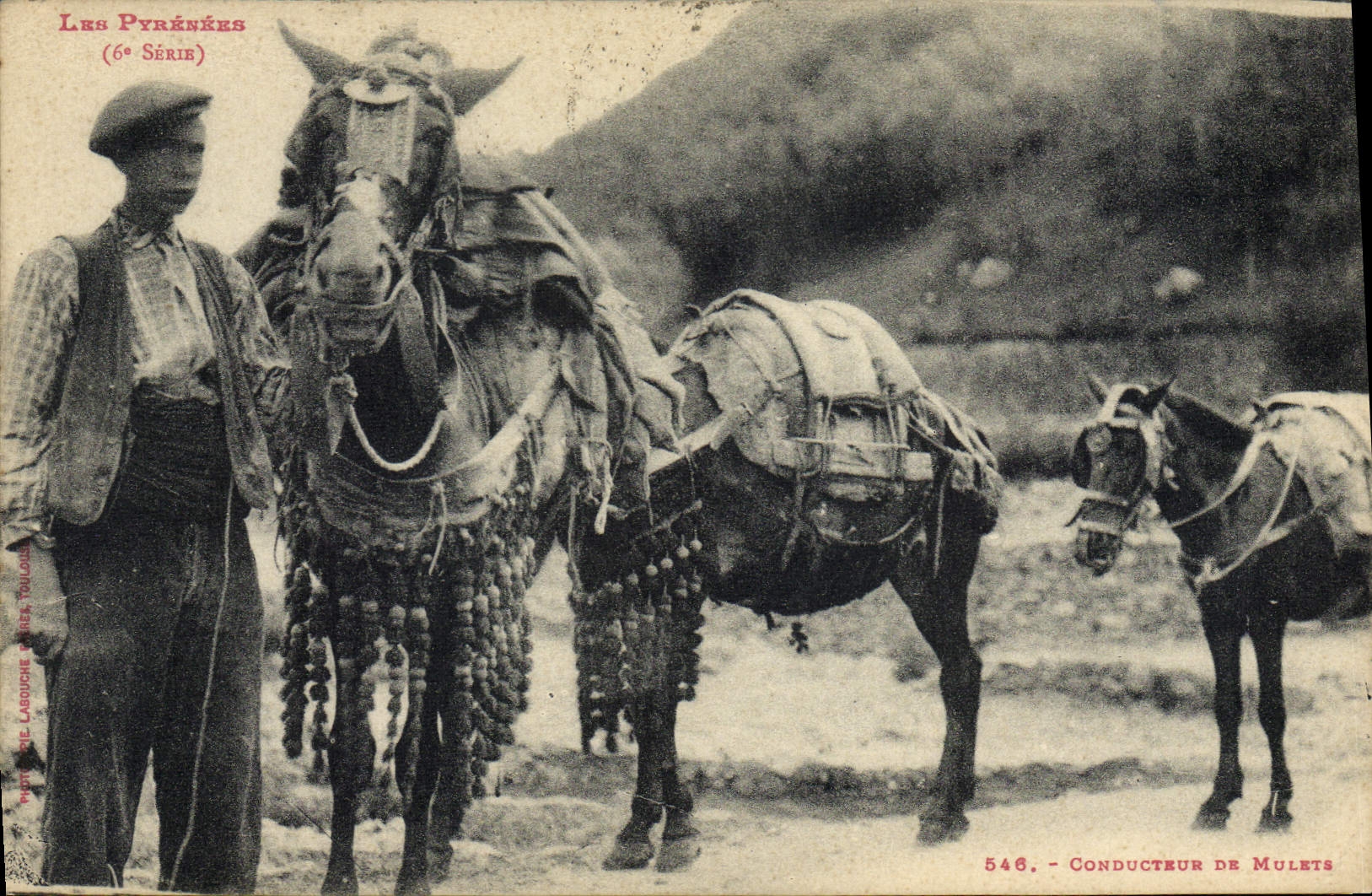 Les Pyrénées (6e Série) — Conducteur de Mulets — Photo de Langouche & Cie, Toulouse, n°546