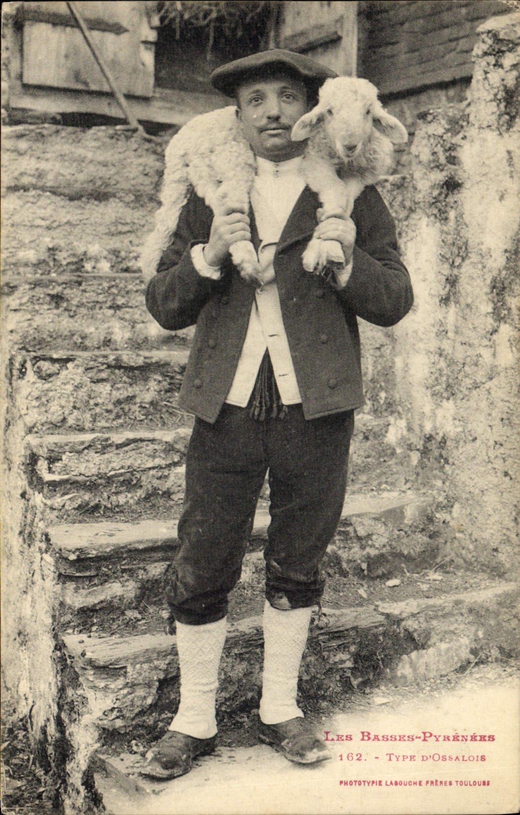 CPA Folklore Basses Pyrenees Type d'Ossalois Agneau Mouton 
