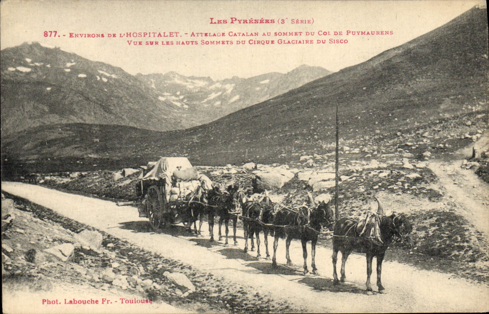 CPA Pyrenees Environs de l'Hospitalet Attelage catalan au sommet du col de Puymaurens Vue sur les hauts sommets