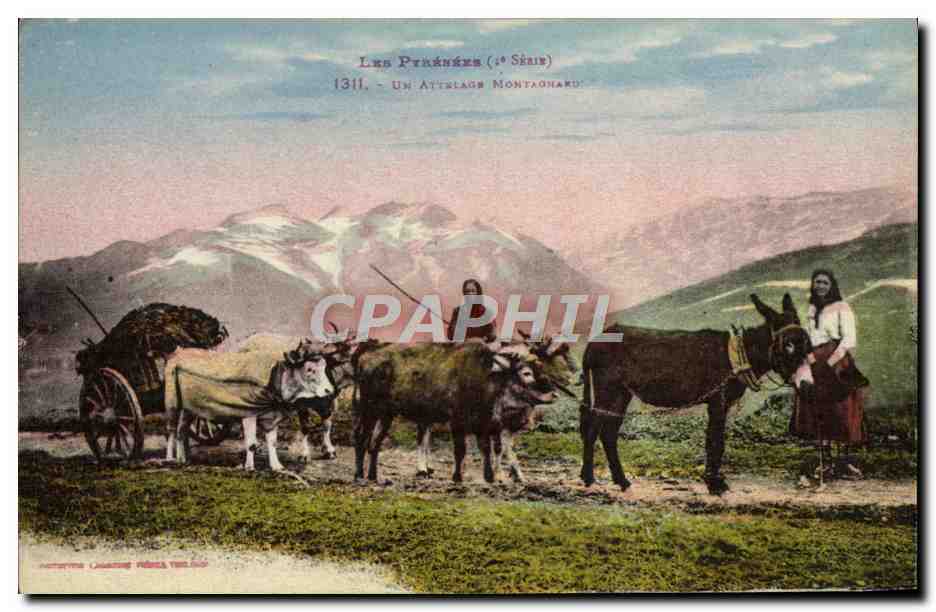 CPA Folklore Pyrenees Un attelage montagnard Beouf Ane Mule 