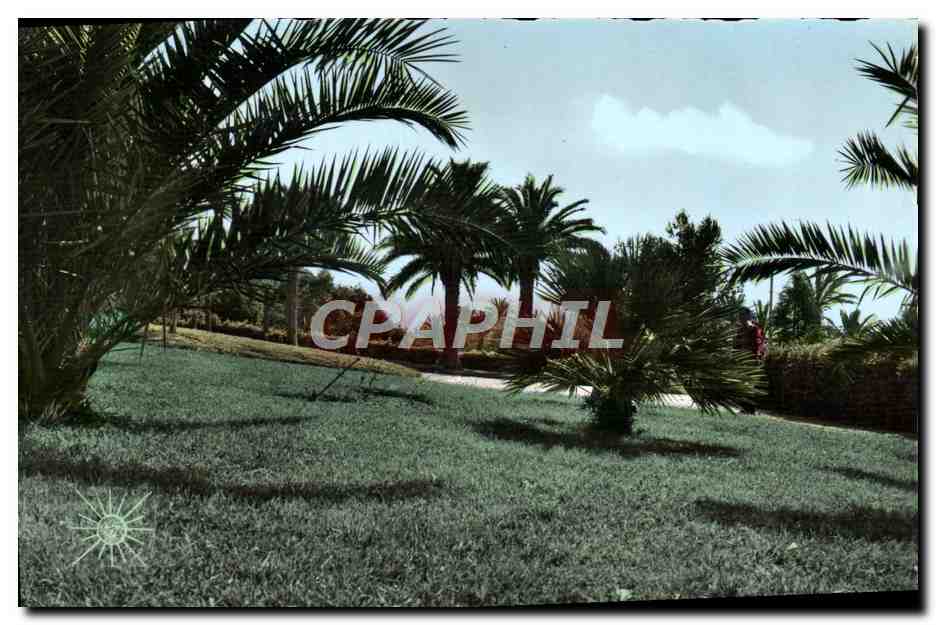CPM Toulon Le Littoral Un Coin Du Jardin