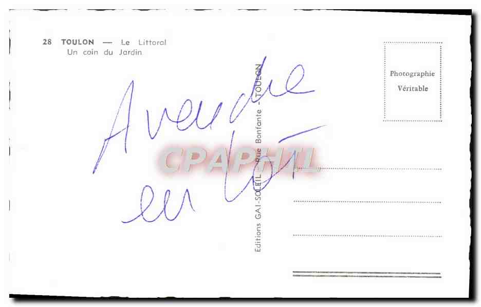 CPM Toulon Le Littoral Un Coin Du Jardin — Verso