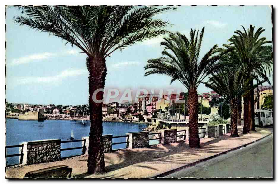 Toulon-Mourillon — Vue de la terrasse — Édition B.S.B. n°316