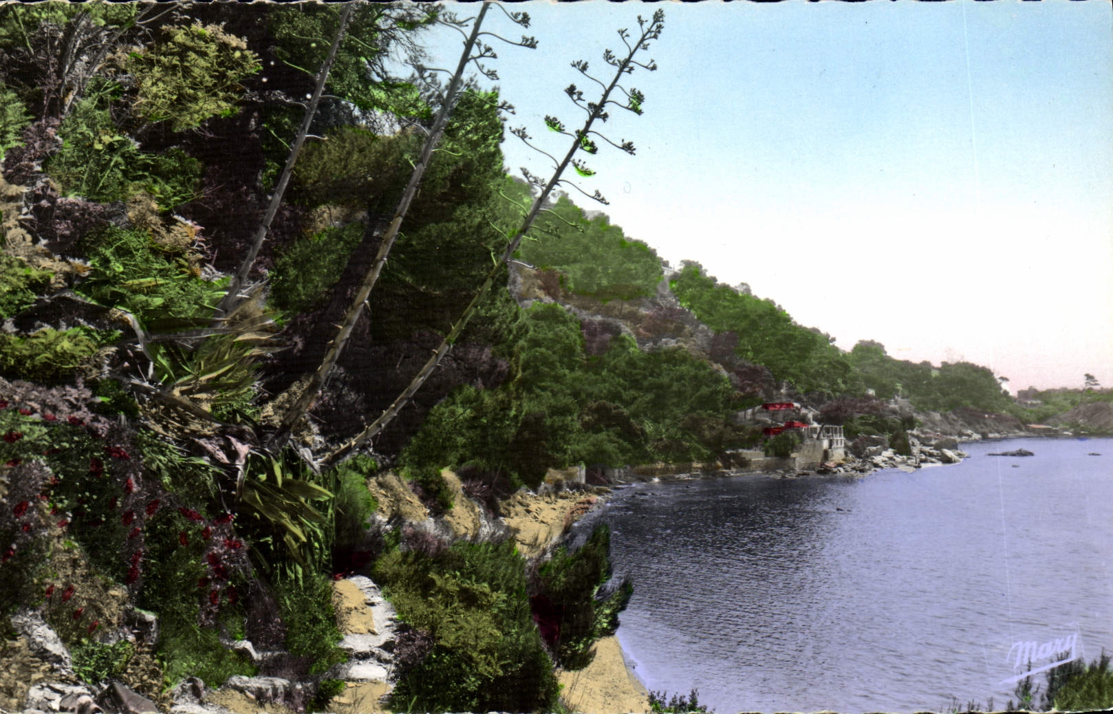Vue de la côte à Toulon - Montpellier - Éditeur Mary - Recto