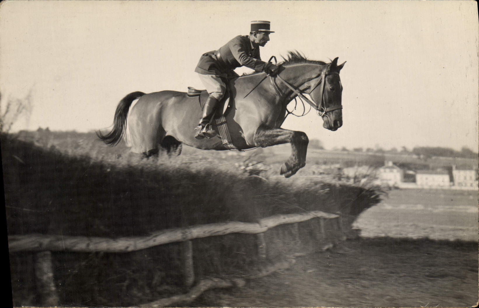 CARTE PHOTO Saumur Cheval Hippisme 