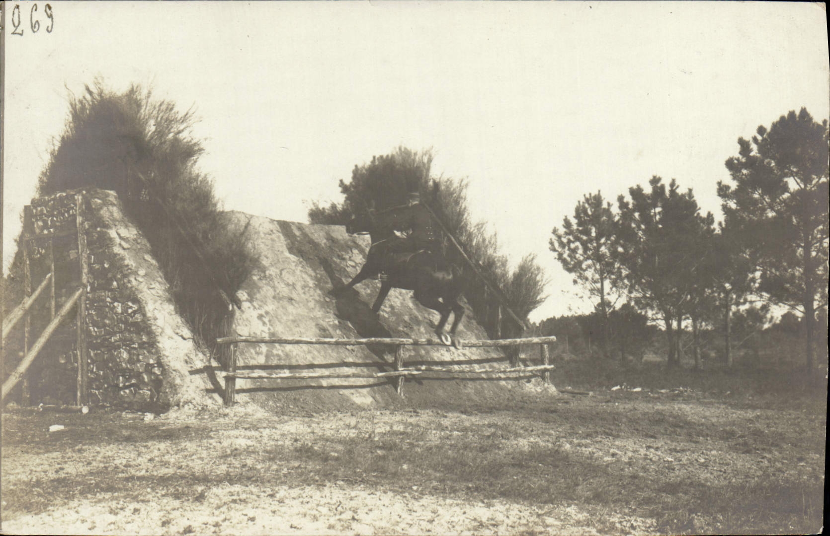 Photo Cheval Hippisme 