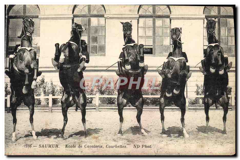 CPA Cheval Hippisme Saumur Ecole de cavalerie Courbettes