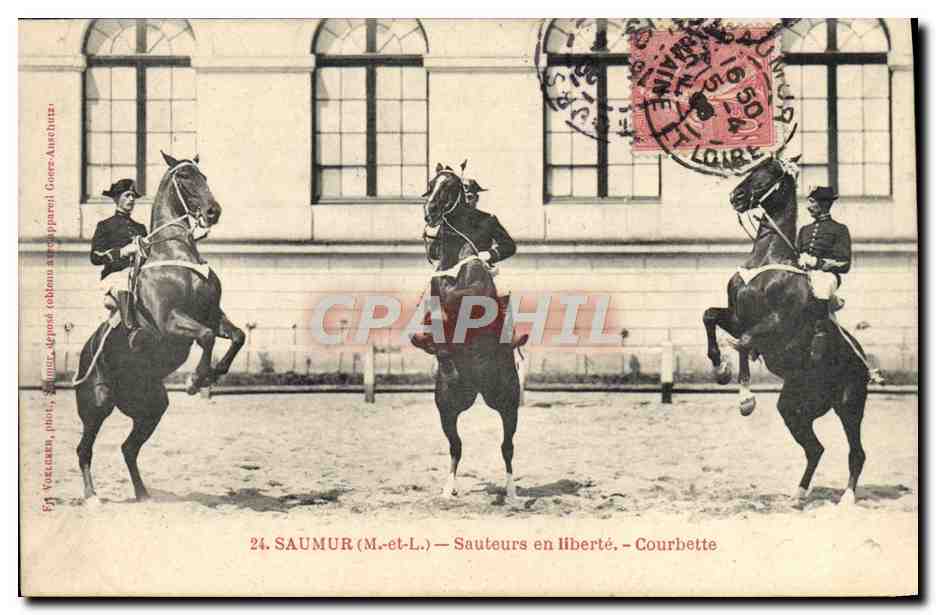 CPA Cheval Hippisme Saumur Sauteurs en liberte Courbette