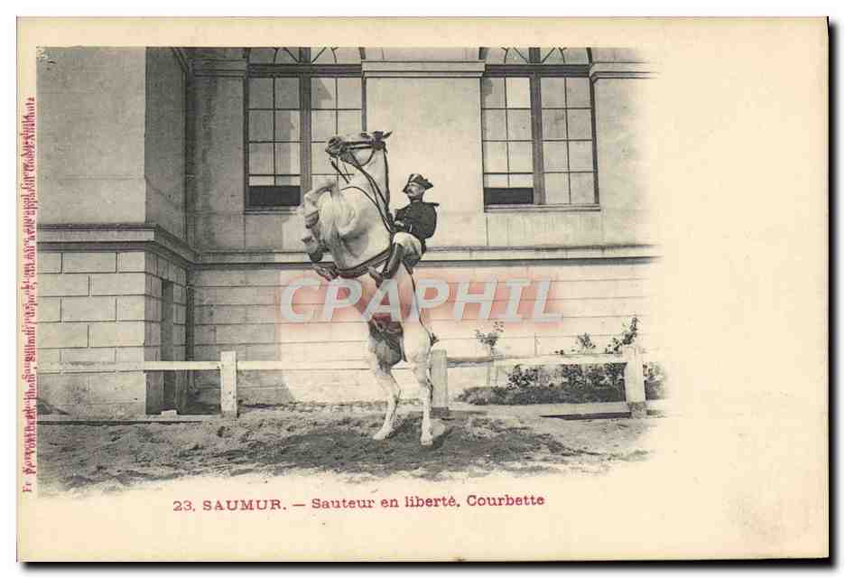 CPA Cheval Hippisme Saumur Sauteur en liberte Courbette