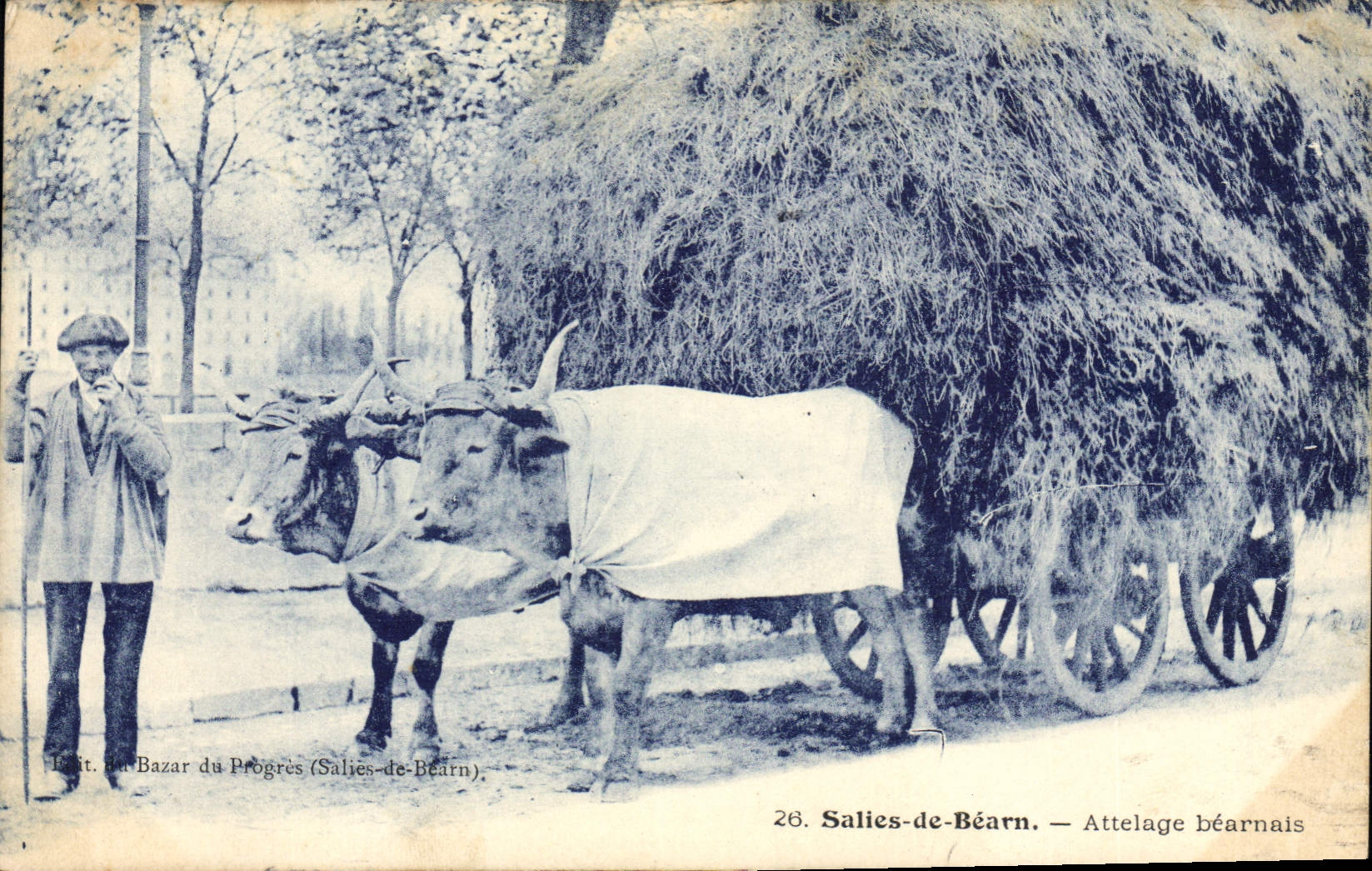 CPA Folklore Salies de Bearn Attelage bearnais Boeufs 