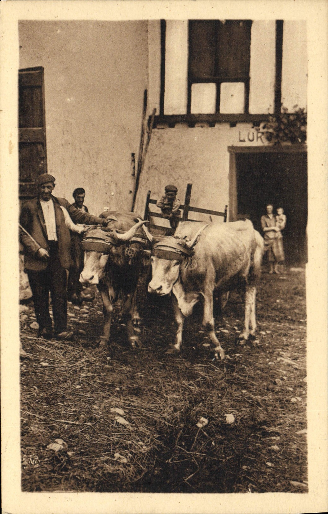 CPA Folklore Types basques Fermier basque et son attelage Boeufs 
