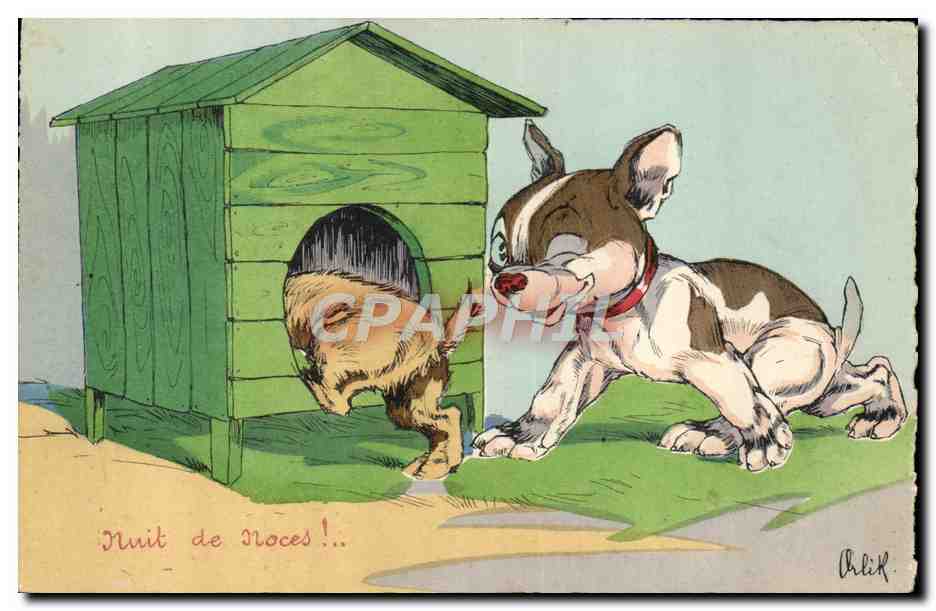 CPA Fantaisie Illustrateur Nuit de noces Chien Chiens